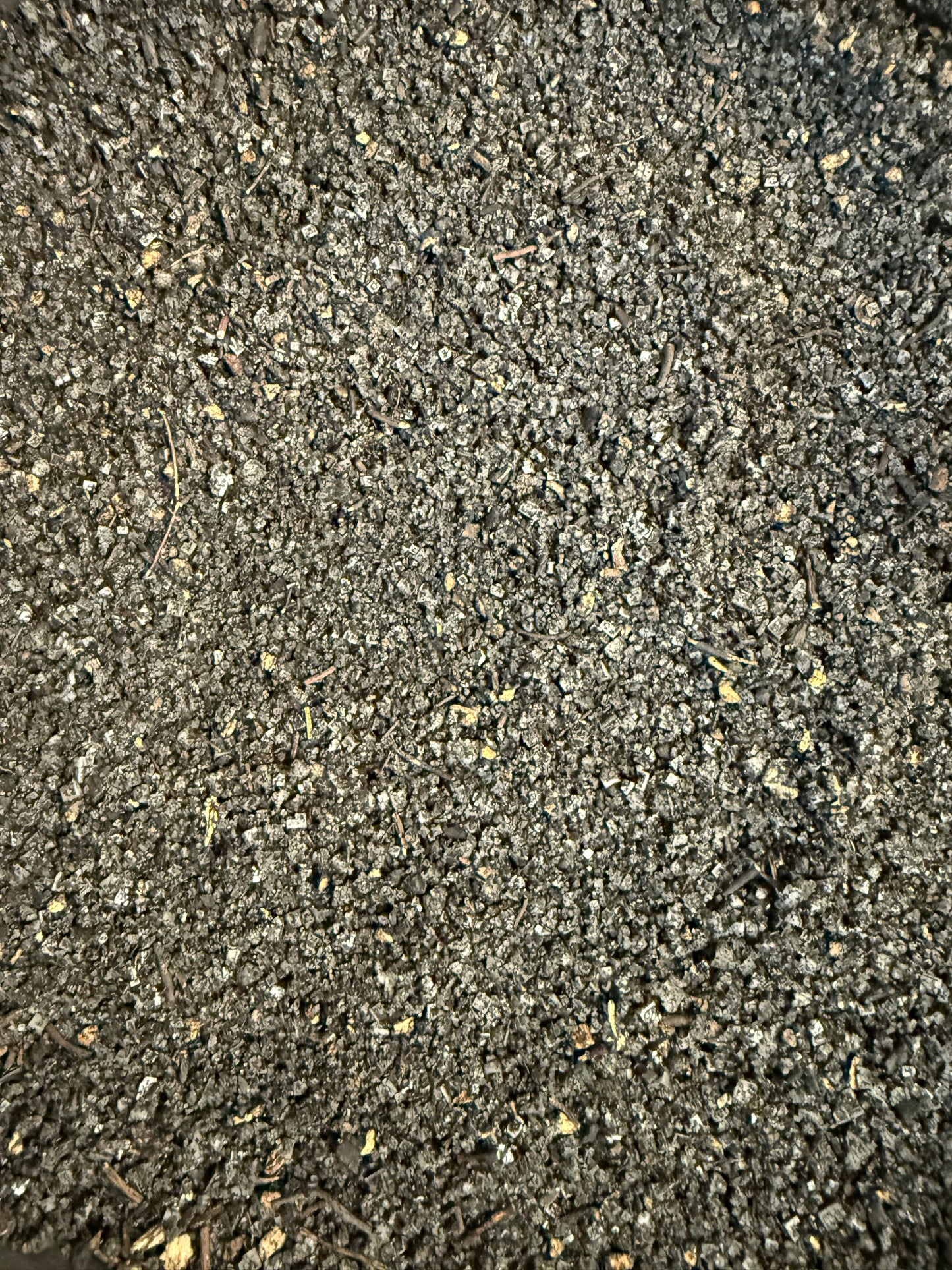 “Cancer Ferreus” — Black Salt